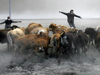 ���������� ������� Eyjafjallajokull � ��������